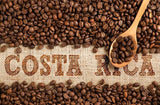 Pura Vida Costa Rica Tarrazu Roast